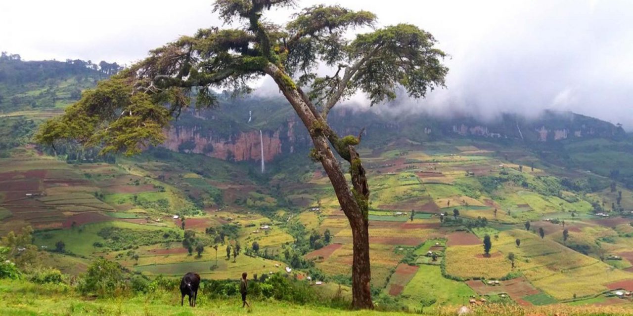 https://www.abacusvacations.com/italia/wp-content/uploads/2019/04/mount-elgon-abacus-vacations-1280x640.jpg