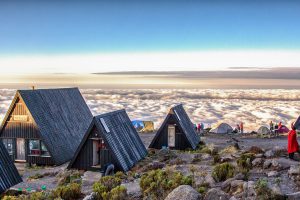 8 Days Kilimanjaro – Rongai Tour