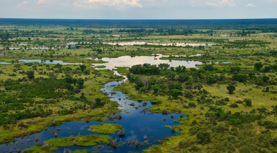The Okavango Delta in Angola a great home for the ‘Big Five’ in Africa