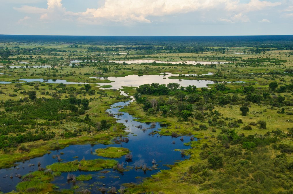 The Okavango Delta in Angola a great home for the ‘Big Five’ in Africa