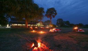 PAKUBA SAFARI LODGE