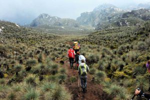 Rwenzori Mountains Park - uganda safaris