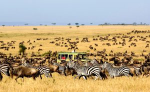 Serengeti National Park