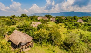 SEMULIKI SAFARI LODGE