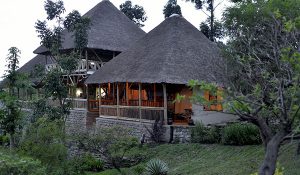 ENGANZI SAFARI LODGE