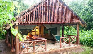KIBALE FOREST CAMP