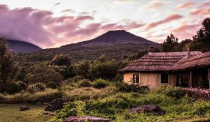 MOUNT GAHINGA LODGE