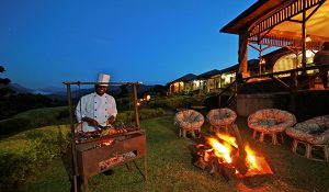 SILVERBACK SAFARI LODGE